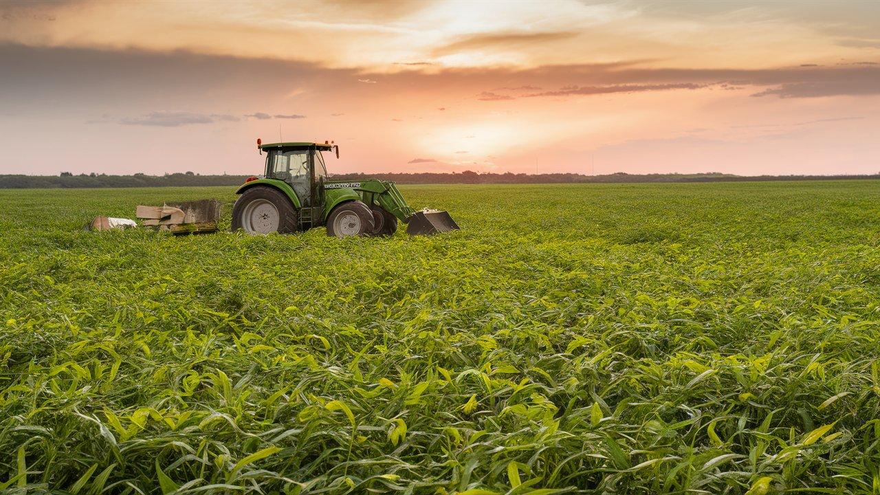 campo de soja con tractor a lo lejos UD0MEFXcSJOFniqBjapvqA kHUpp7SDQNO TgC7o 0d g